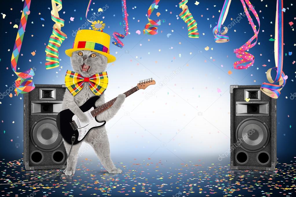 guitar cat party