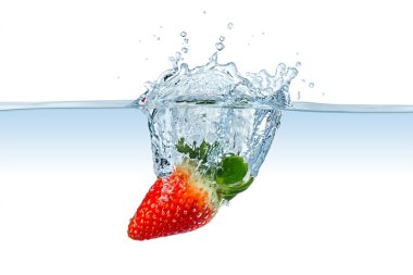 çilek splash