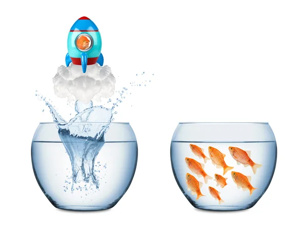 Fish rocket concept — Stock Photo, Image