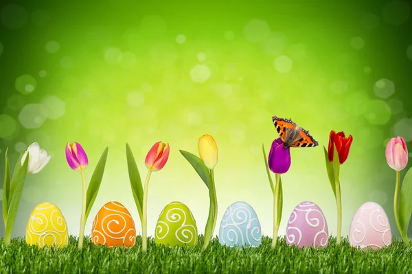 Easter eggs with tulips Stock Image