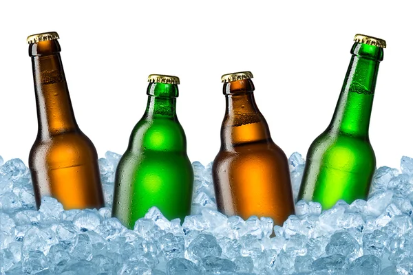 Botellas de cerveza sobre hielo — Foto de Stock