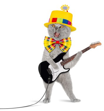 komik gitar kedi