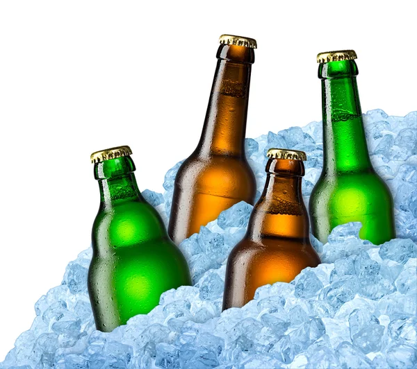 Beer bottles on ice — Stock Photo, Image