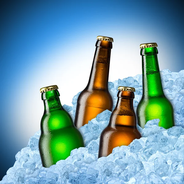 Botellas de cerveza sobre hielo —  Fotos de Stock