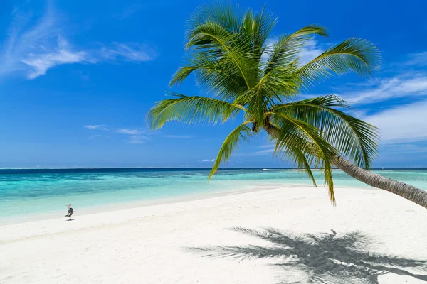 Paradise beach — Stockfoto