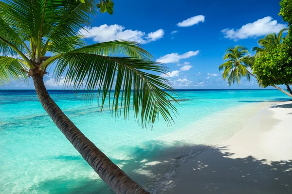 Paradise beach — Stockfoto