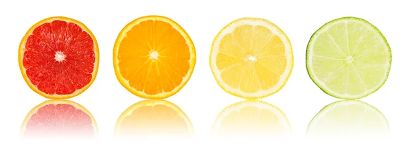 Rij van diverse citrus segmenten — Stockfoto