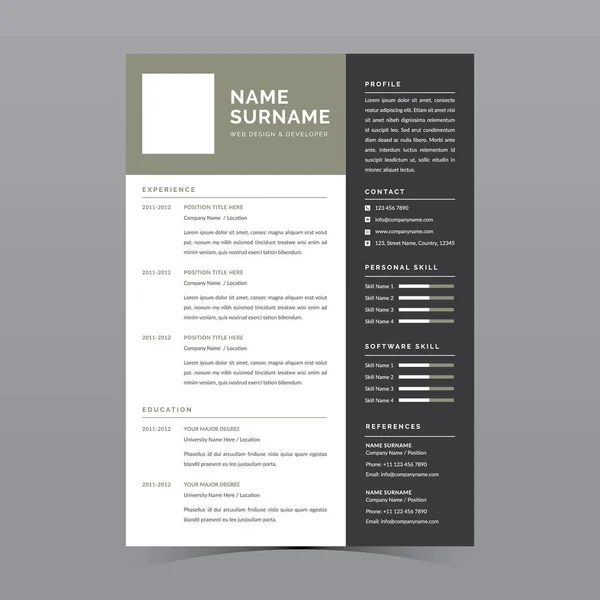 Profesyonel Devam Şablonu Vektör Tasarımı