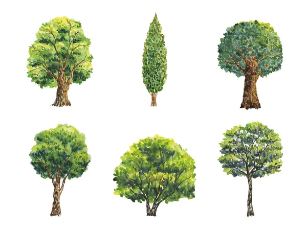 Ilustración Acuarela Con Árboles Árboles Verdes Plantas Bosque Naturaleza Paisaje — Foto de Stock