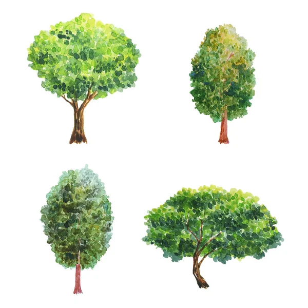 Ilustración Acuarela Con Árboles Árboles Verdes Plantas Bosque Naturaleza Paisaje —  Fotos de Stock
