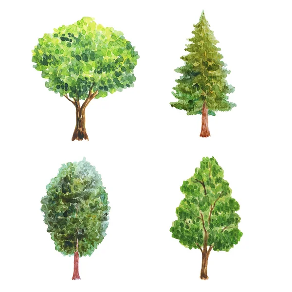 Ilustración Acuarela Con Árboles Árboles Verdes Plantas Bosque Naturaleza Paisaje — Foto de Stock