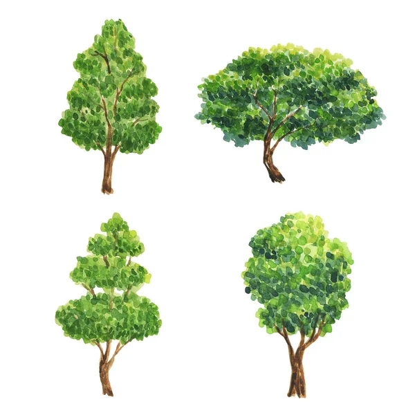 나무의 가문비나무 전나무 단풍나무 전나무 자작나무 소나무 버드나무 가문비나무 수채화 — 스톡 사진
