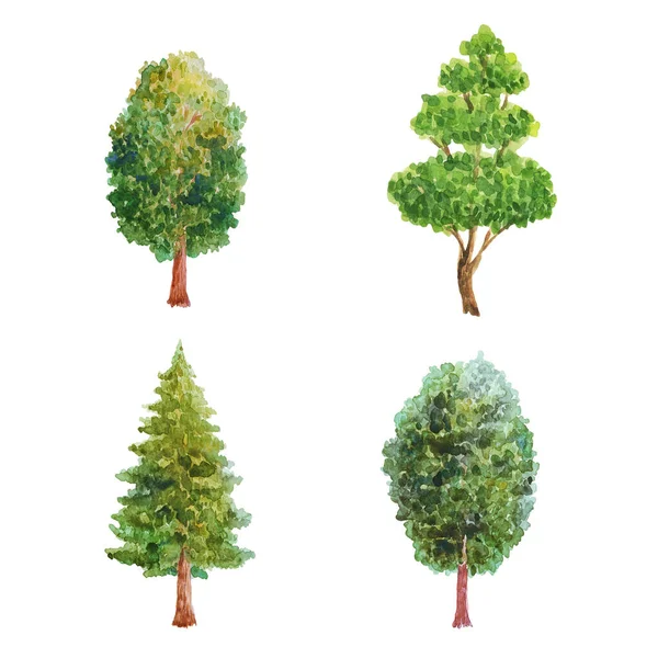 Ilustração Aquarela Com Árvores Árvores Verdes Plantas Floresta Natureza Paisagem — Fotografia de Stock