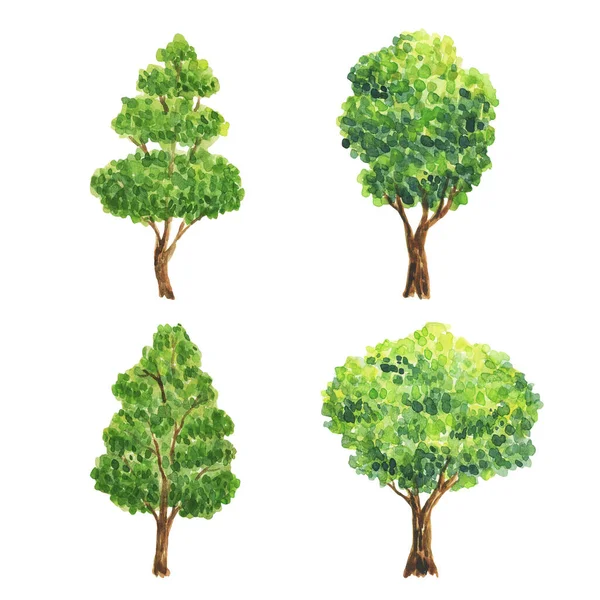 Watercolor Illustration Trees Green Trees Plants Forest Nature Landscape Park Royalty Free Stock Images