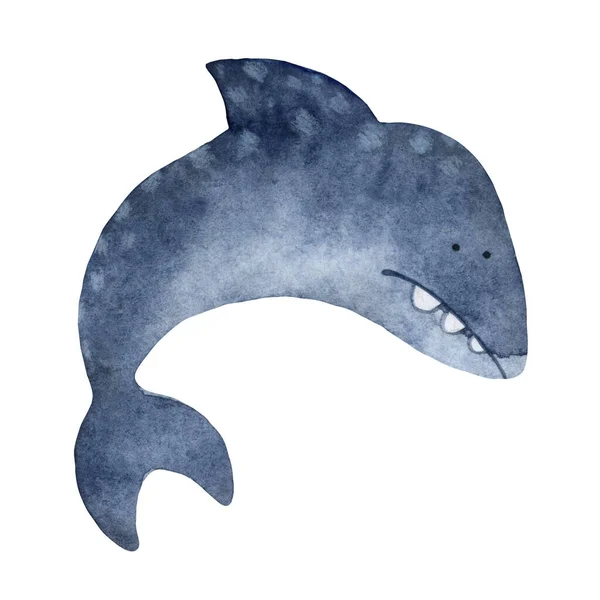 Lindo Tiburón Tema Pirata Símbolo Aventura Dibujos Para Habitación Del — Foto de Stock