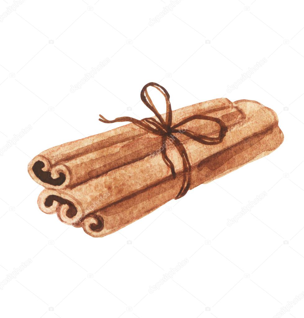 Cinnamon sticks. Watercolor spices. Dried spices for baking and drinks. Menu drawing of food for cafes and restaurants. Hand drawn tasty food illustration. Sweet food on a white background.