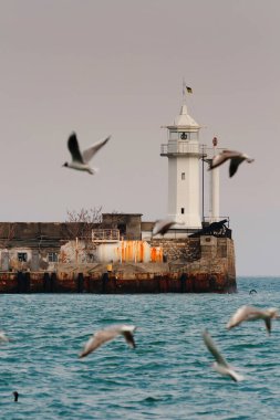 Martılar deniz fenerinin yanında uçar.