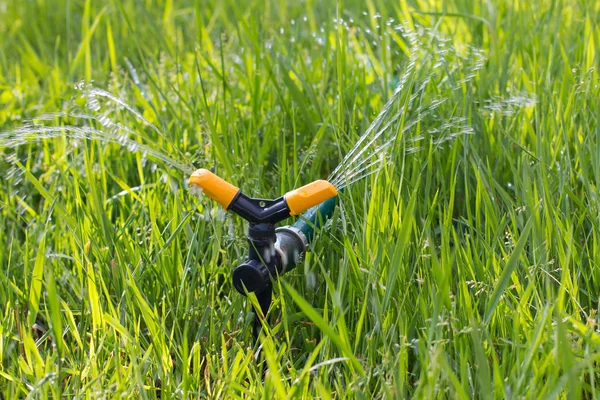 Watering garden grass — Stock Photo, Image