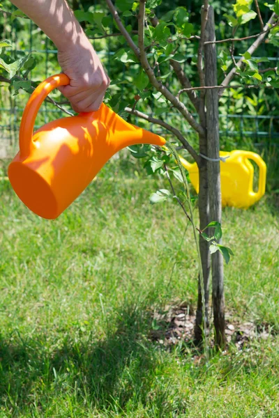 Orange watering can for plants — Stock Photo, Image