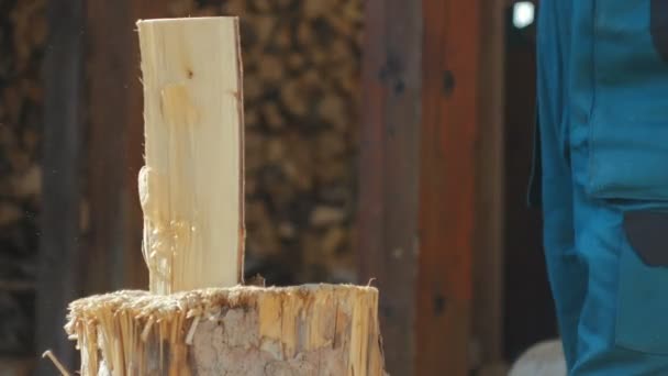 Two Logs Being Splitted ,detail — Stock Video