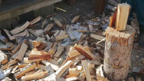 Holz auf dem Block hacken — Stockvideo