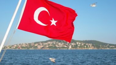 Tekneler güverte üzerinde göster