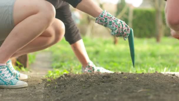 Jong (echt) paar voorbereiding tuin — Stockvideo