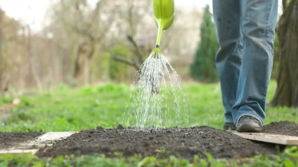 Taze sulama Bahçe hazırlanan — Stok video