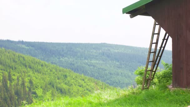 Escalera junto a la cabaña — Vídeos de Stock