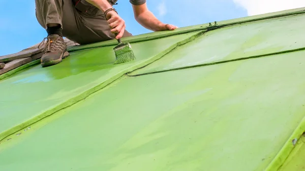 Homem pintando telhado a partir do topo — Fotografia de Stock