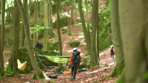 Niño en el bosque caminando hacia la pared de roca — Vídeos de Stock