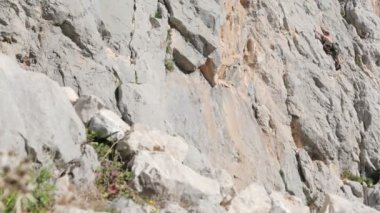 Doğada genç dağcılık