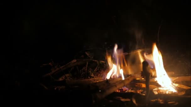 Lidé, vaření na kemp oheň — Stock video