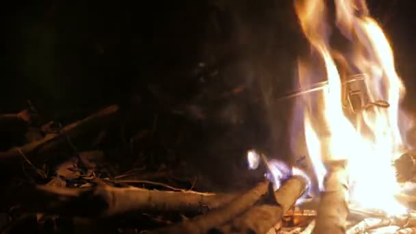 Feu de camp la nuit — Video