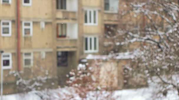 Nevadas en la ciudad, frente enfocado en cámara lenta — Vídeos de Stock