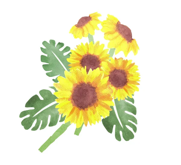 向日葵和树叶的水彩画 — 图库矢量图片