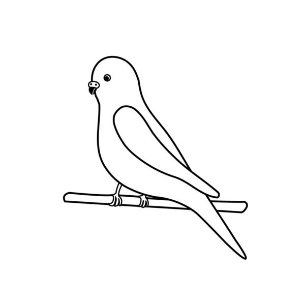 Budgerigar - λογότυπο για την εξωτική επιχείρηση πουλιών — Διανυσματικό Αρχείο