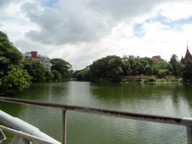 Lakeside ağaç görünümünü