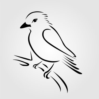 Egzotik kuş işleri için logo. Güzel bir balıkçı.