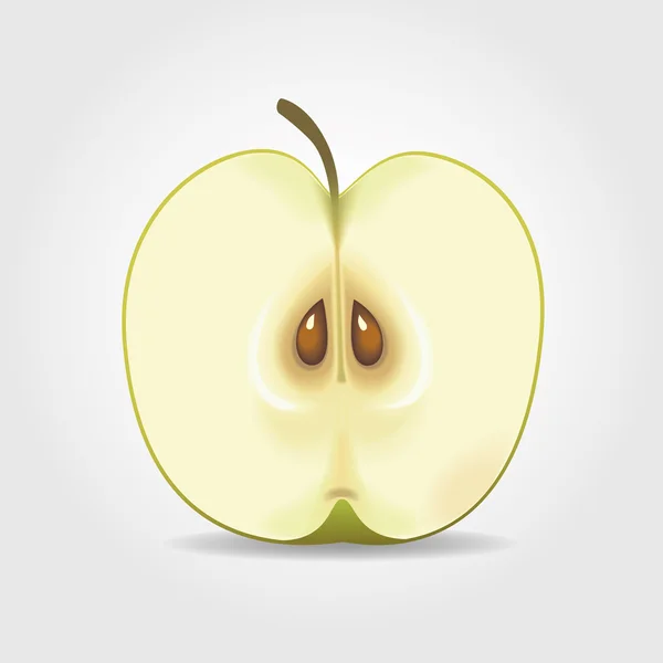 Realistisk grönt äpple — Stock vektor