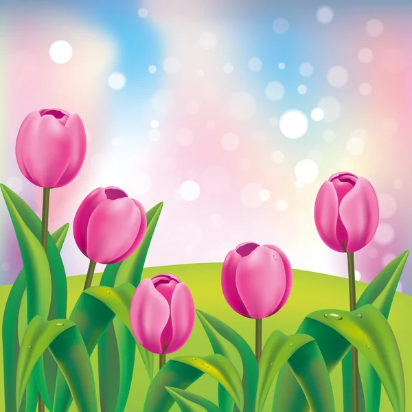 Różowe tulipany na tło zamazane pole — Wektor stockowy