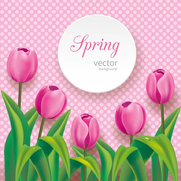 Pink tulips on polka dots background — Stock Vector