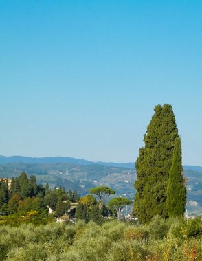 Toskana tepelerinin manzarası. Toskana 'da yaz, Apennines. Seyahat ve doğa kavramı.