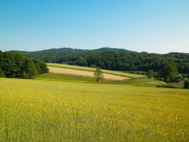 Tepeler, tarlalar ve çayırlar. Wiezyca 'nın güzel manzarası, Kashubia Bölgesi, Kuzey Polonya. Boşluğu mavi gökyüzünde kopyala.