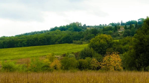 Herbst Italien Toskanische Felder Und Hügel Einem Bewölkten Tag Kopierraum — Stockfoto