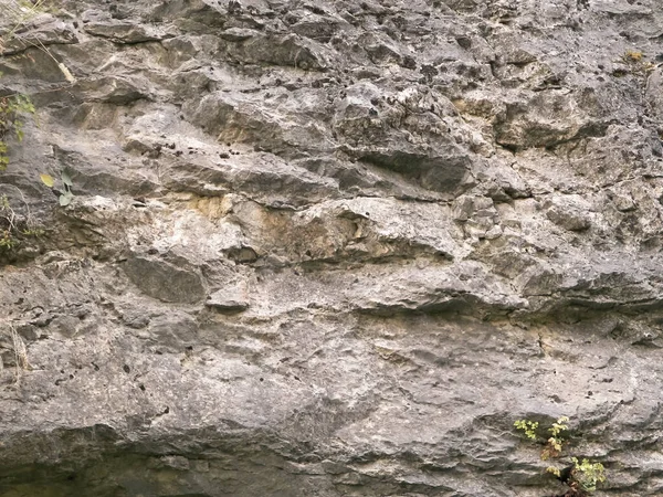 自然の背景としての石の岩 マケドニアのオフリド海岸の岩の中で閉じます 自然背景 コピースペース — ストック写真
