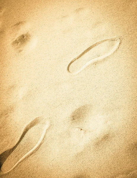 砂の上に靴のプリント コピースペース 自然背景 — ストック写真