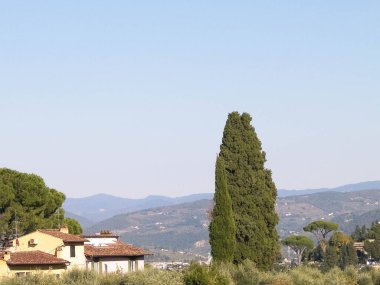 Toskana tepelerinin manzarası. Toskana 'da yaz, Apennines. Seyahat ve doğa kavramı.