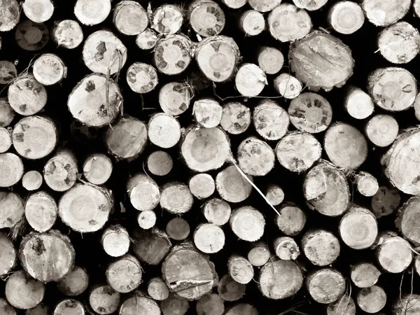 Träbjälkar Som Naturbakgrund Natur Och Miljöskyddskoncept Uppfattat Utrymme Filter Tonade — Stockfoto