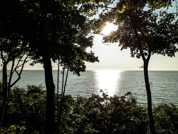 Zomer Natuur Prachtig Uitzicht Zonsondergang Baltische Zee Gdynia Polen Natuur — Stockfoto